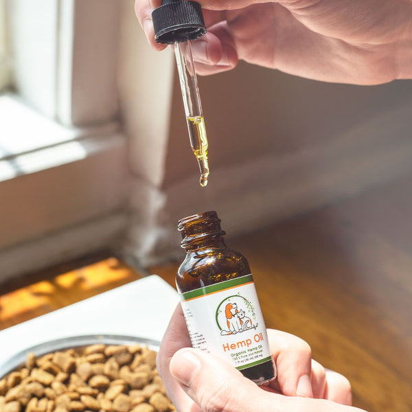 Hemp Oil Boosts Your Pet's Immune System... and Here's How!