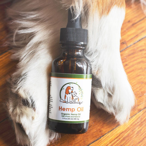 How Does Hemp Oil Affect Dog Cancer?